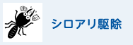 シロアリ駆除