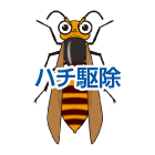 スズメバチ駆除