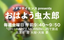 おはよう虫太郎