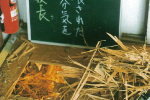 siroarinituite_1