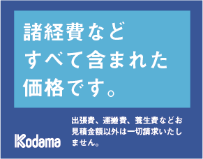 アセット 3