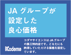 アセット 7