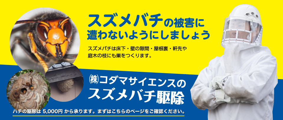 設定(1)